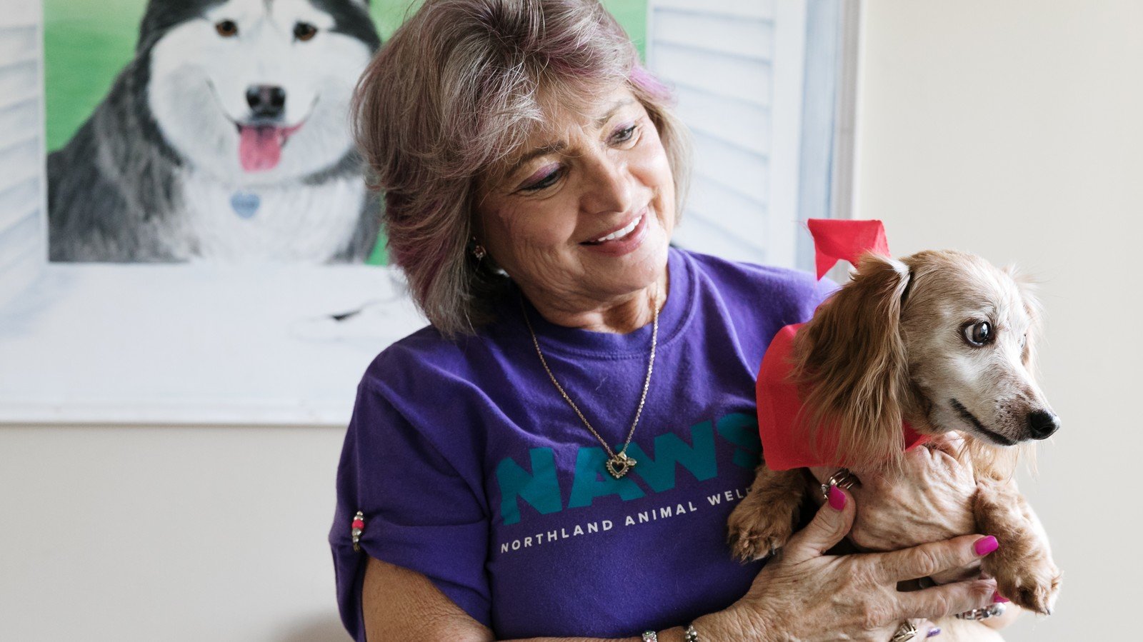 Volunteering Image